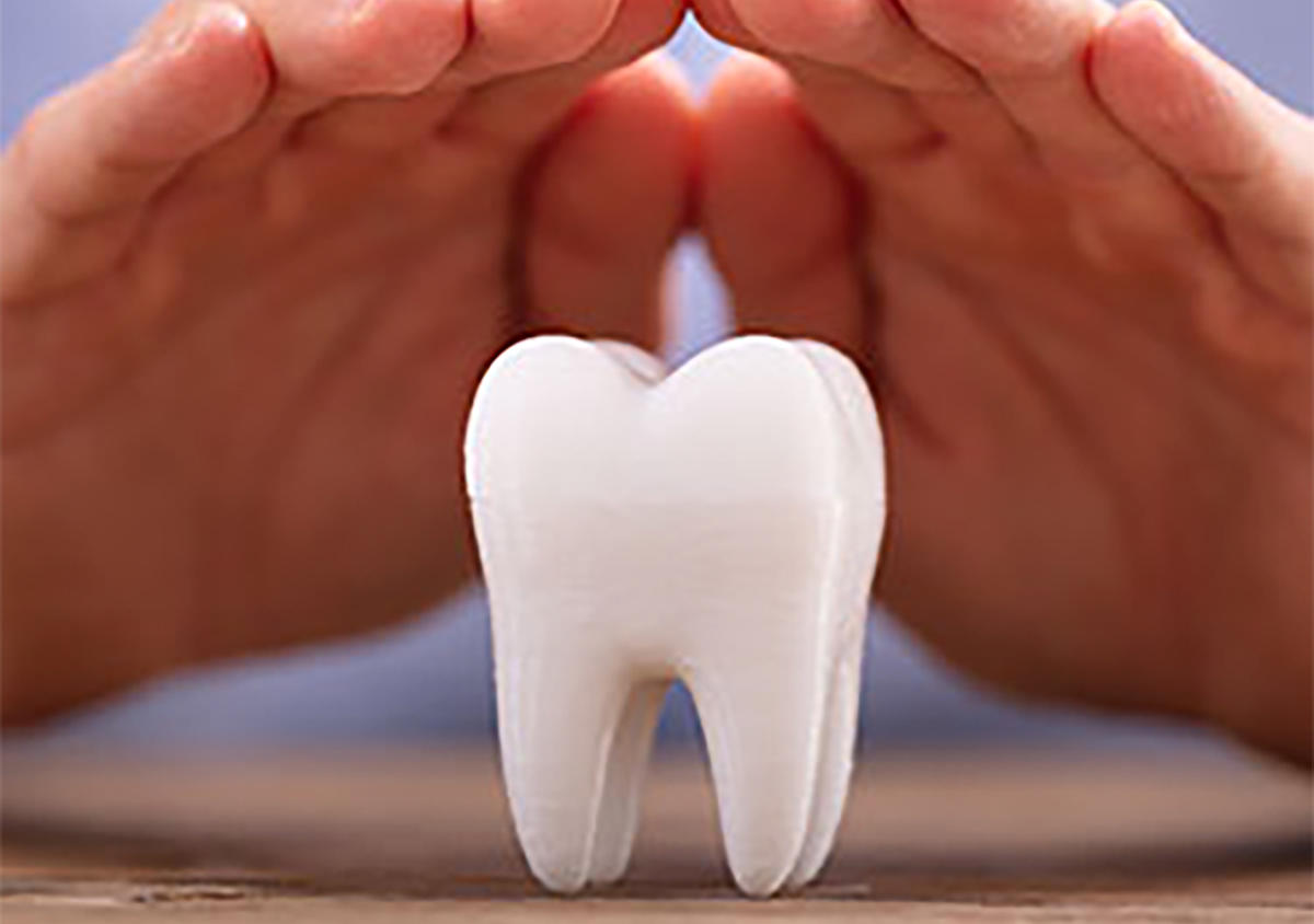 A tooth model covering by hands